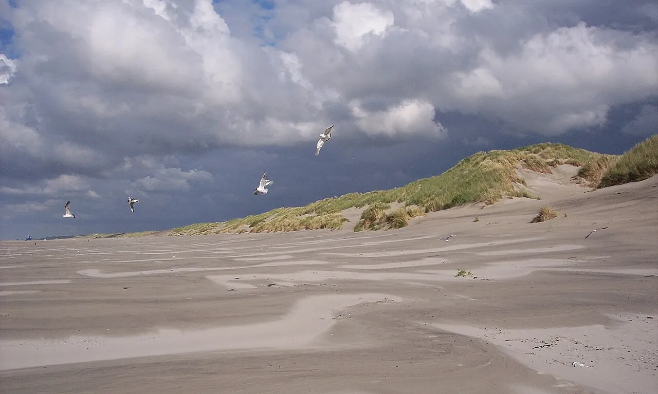 Terschelling Travel Guide: Beaches, Boschplaat, Villages and Wadden Island Culture