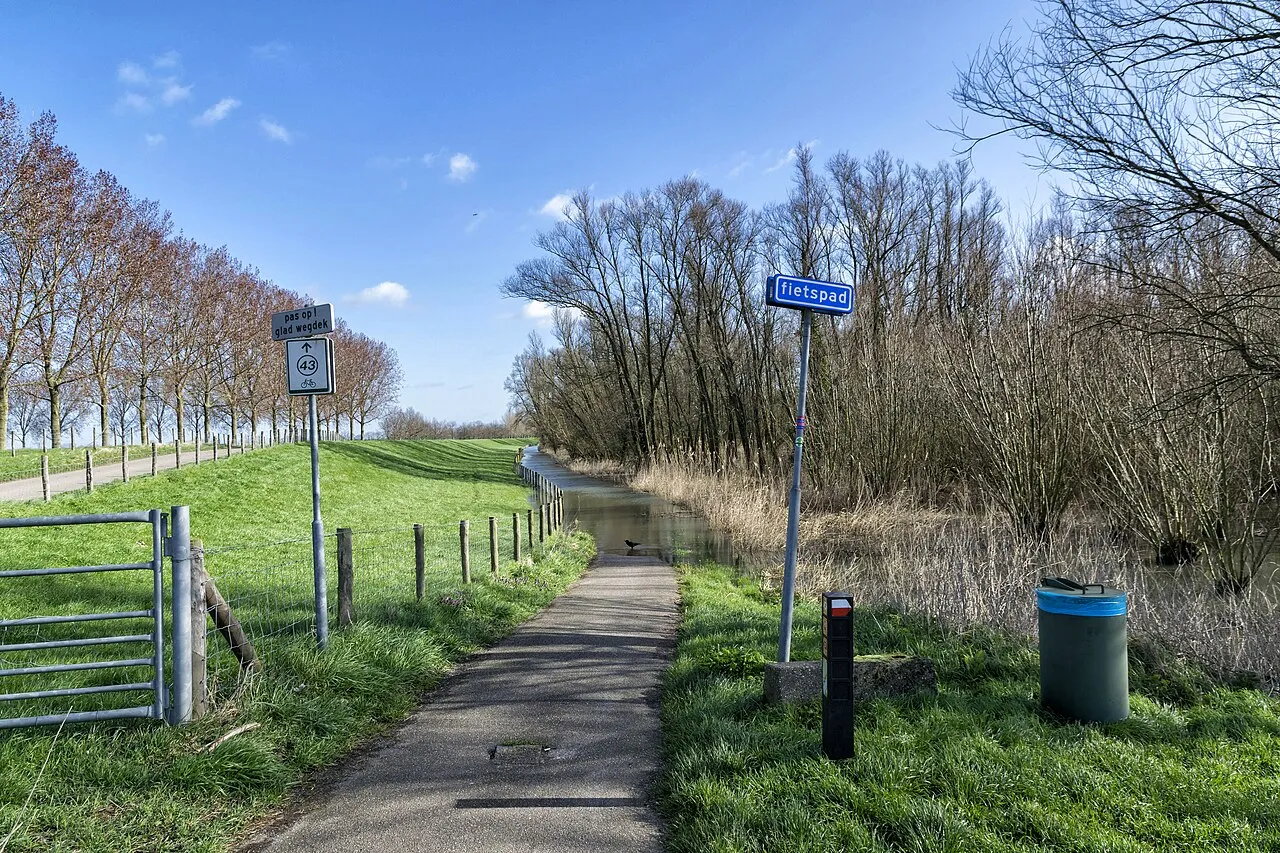 Biesbosch National Park Guide: Boat Trips, Beavers, Wetlands and Walking Routes