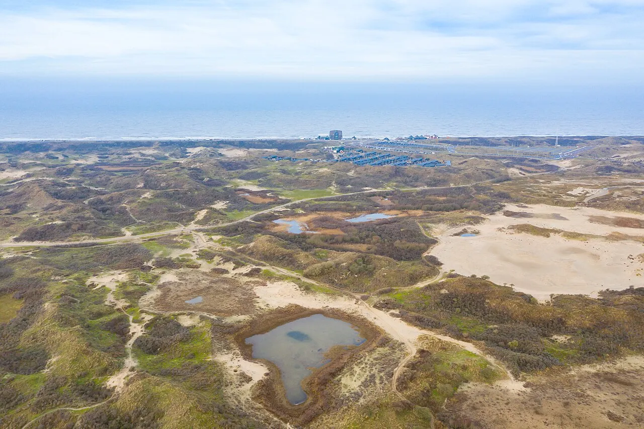 Zuid-Kennemerland National Park Guide: Dunes, Wildlife, Walking and Coastal Nature